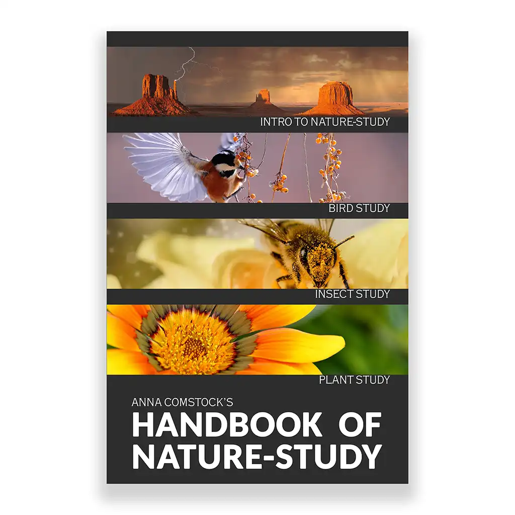 Introduction to The Nature of Nature: Books 0, 1 & 2 by Afroo