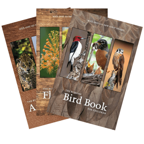 Burgess-Bundle Burgess-Bundle