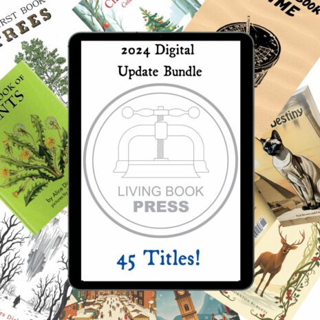 2024's Big Digital Bundle Update